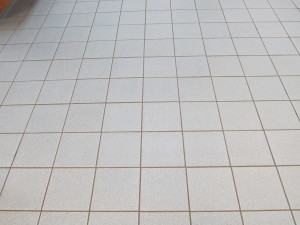 VCA Tile&Grout 057